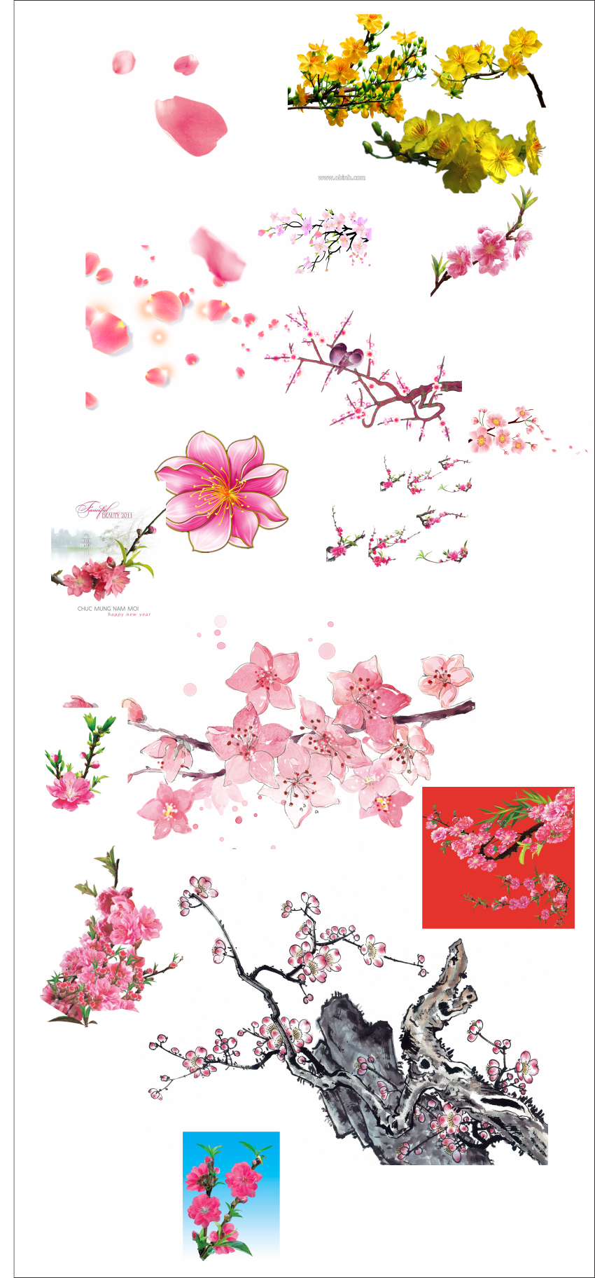 anh-hoa-dao-file-coreldraw-2.png