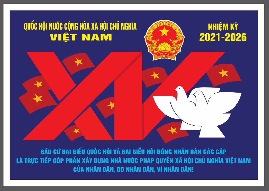 [BCXV24] Bầu cử quốc hội khóa XV 2021-2026 file CDR 12