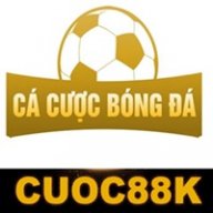 cacuocbongdainfo