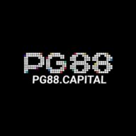 pg88capital